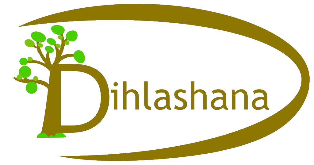 Dihlashana Consulting Corporation - Logo
